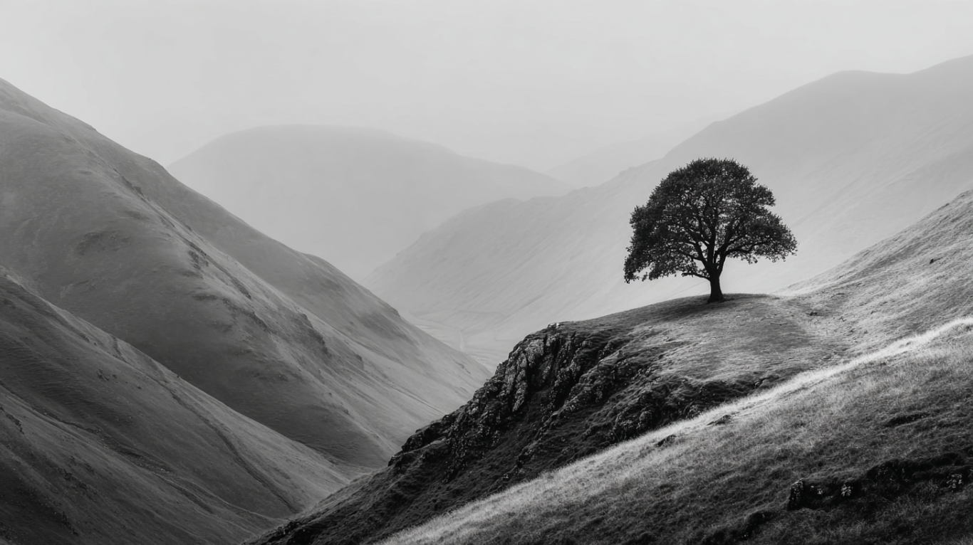 Solitary Echoes in Silence